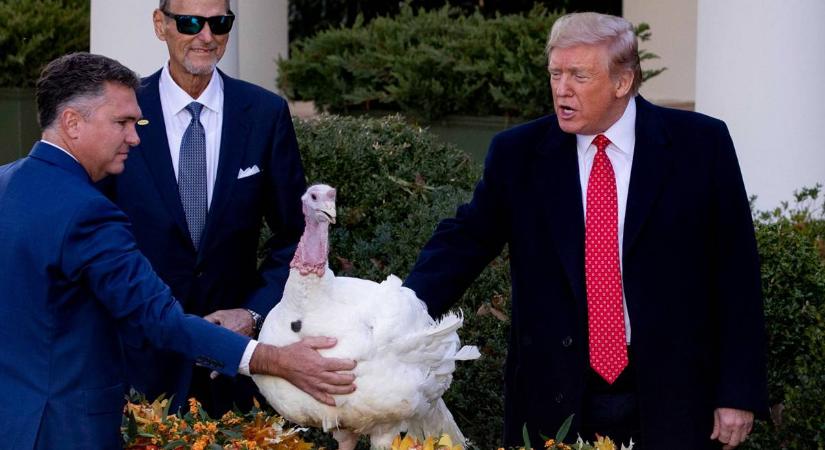 Donald Trump elnöki kegyelmet adott két pulykának követve a Hálaadáshoz kapcsolódó hagyományt