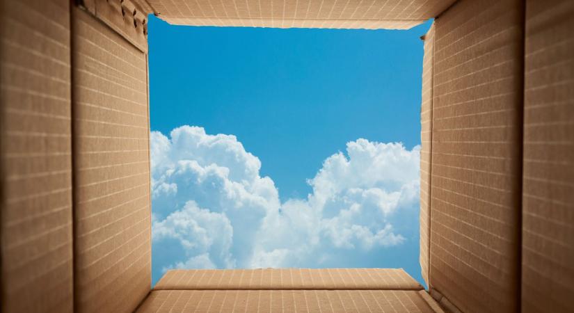 Black Friday vagy Temu? Inkább ne vásárolj semmit!