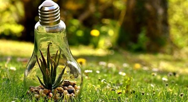 Az Erste lett az év Zöld Bankja