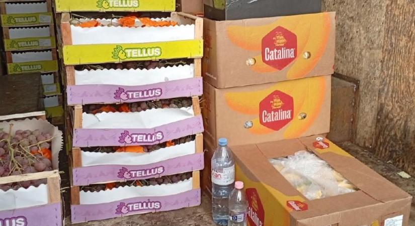 Hiába az álfal, előkerült a problémás gyümölcs