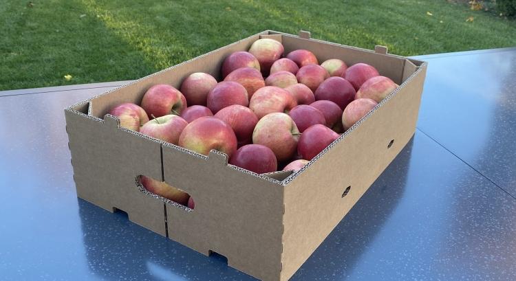 Új, fenntartható hullámpapír rekesz a Dunapacktól