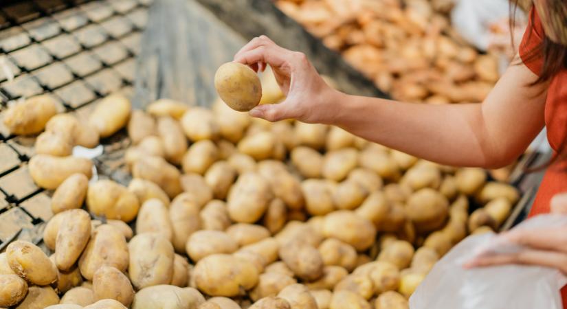 Ilyen burgonyával van tele rengeteg piac: durva, honnan érkezik