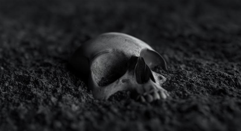 Bitcoinok miatt vízben fojtogattak és szexuálisan bántalmaztak egy családot