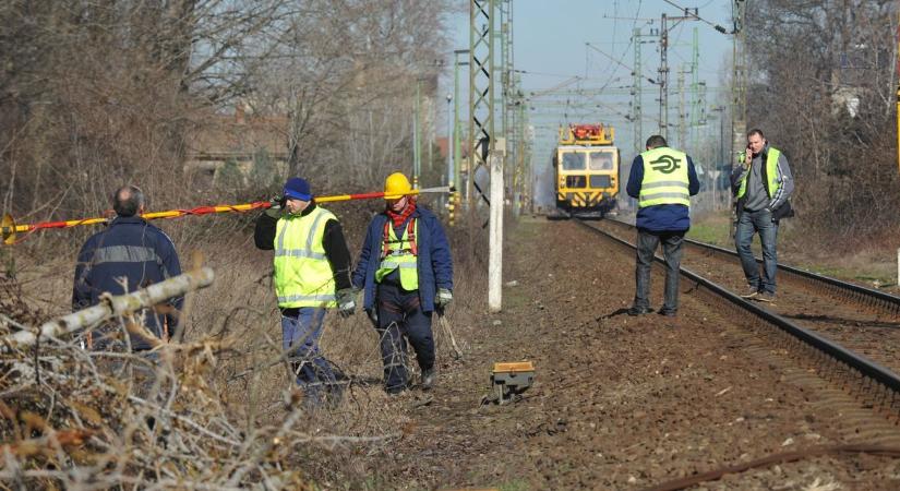 Leálltak a vonatok a Dunántúlon, kidőlt egy fa