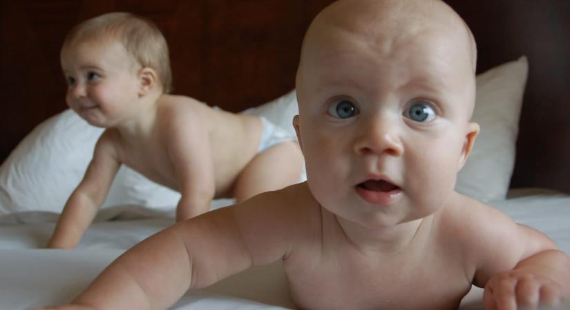 Felnőttek az első kötvénybabák, 6,3 milliárd forintot már kivettek a kincstárból