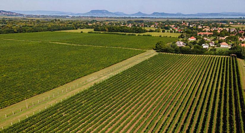 A zártkertek is felkerülnek az Otthon Start térképére