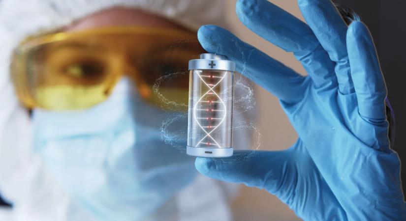 Hajlkony, biolgiailag leboml zselatin akkumultor tpllhatja majd a jv viselhet eszkzeit