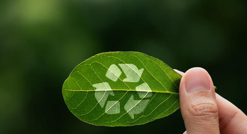 Új támogatásra pályázhatnak a cégek