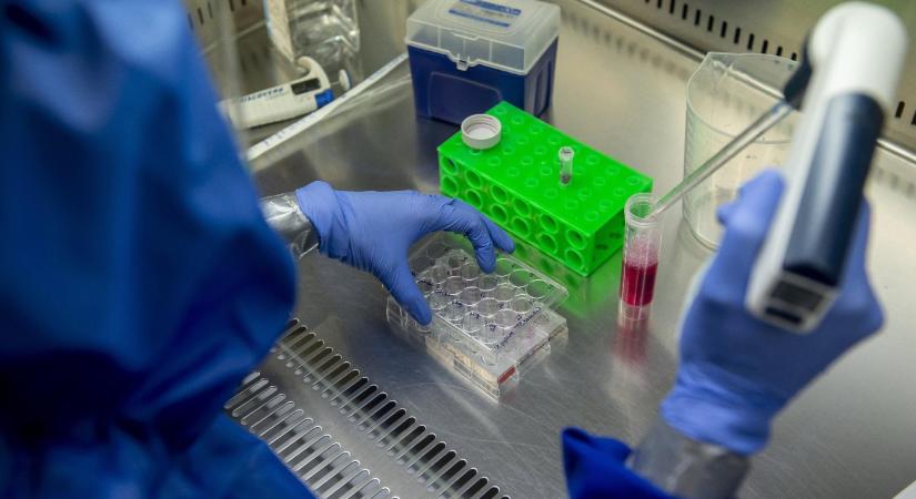 "Sok fiatal kutató eleve külföldön kezdi meg tanulmányait"