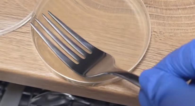 Itt a nagy mosogatás teszt: a gépi, vagy a kézi a hatékonyabb?