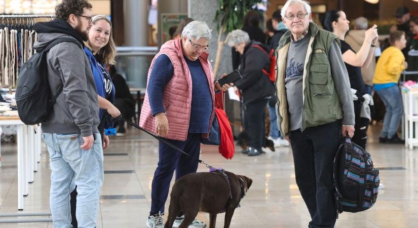 Így járnak kutyával plázázni a magyarok