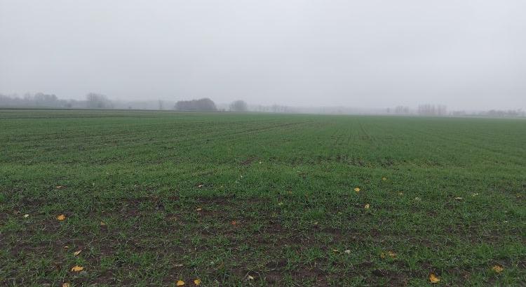 Egész Európában csúcstartó az alföldi csapadékhiány