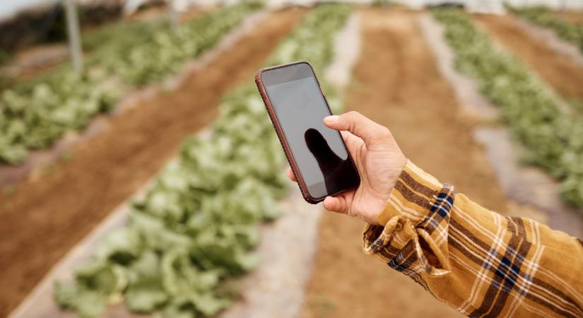 Ezek a fontos változások a mobilGAZDA alkalmazásban a kérelmeket is érintik