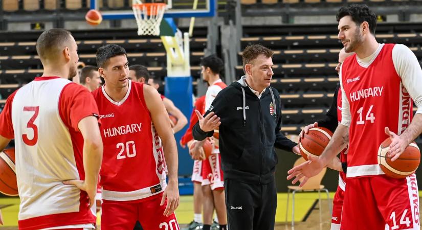 Férfi kosár: a rutin mellé épül be a fiatalság a válogatottban