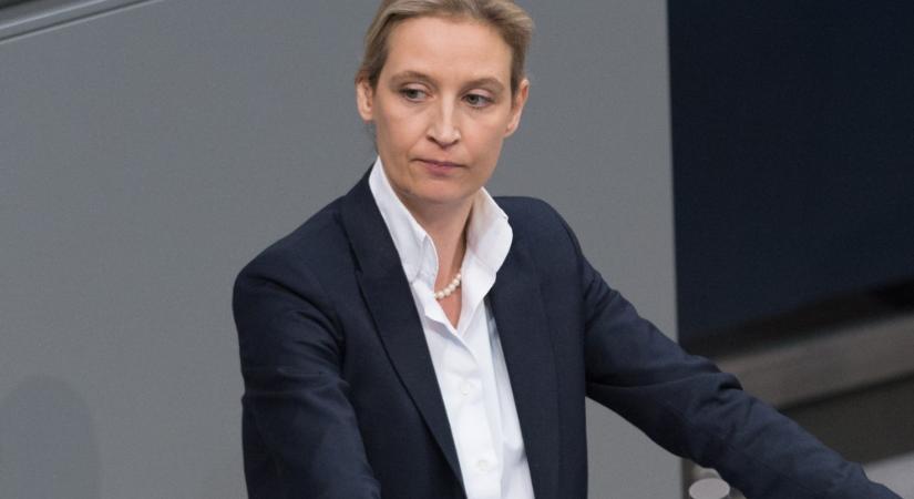 Alice Weidel: Németország egy süllyedő Titanic