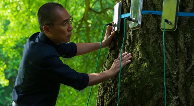 Új előzetest kapott a Csendes barát, Enyedi Ildikó többszörösen díjazott filmje