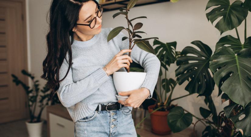 Évi egymillió forintot kaphat több tízezer magyar, itt vannak a részletek