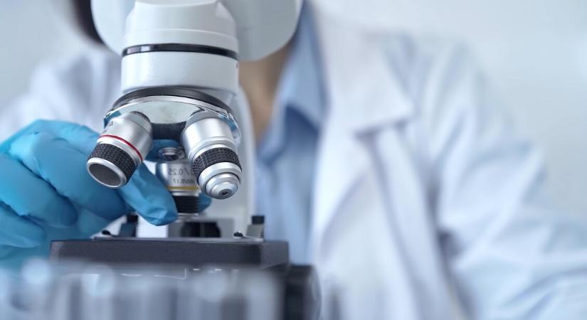 Az immunrendszert segíthetik ezek a vírusmutációk - szeged kutatók vizsgálják őket