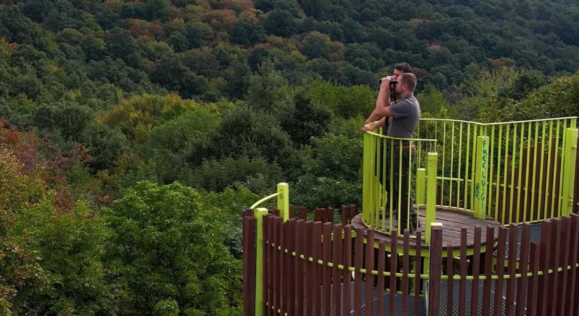 Látványos kisfilmmel mutatja be a Mecsekerdő klímabarát szemléletét a WWF - VIDEÓ!