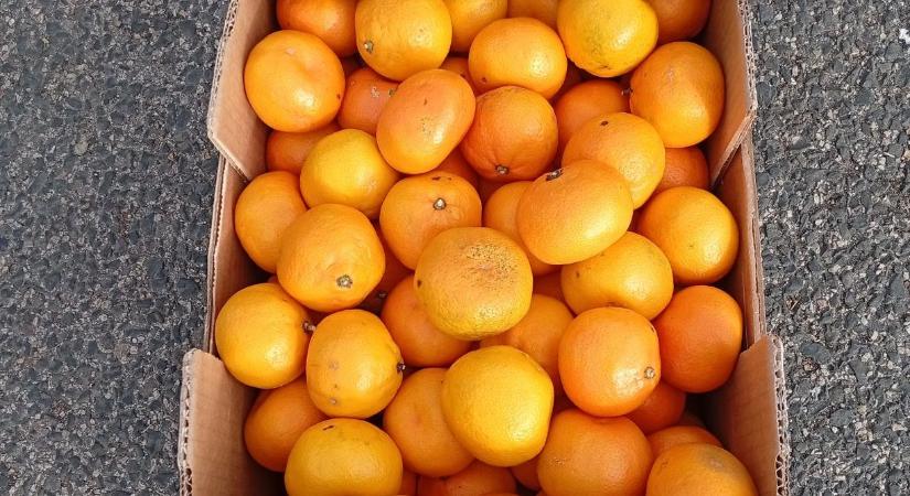 Összehangolt hatósági razzia a Nagybani Piac közelében