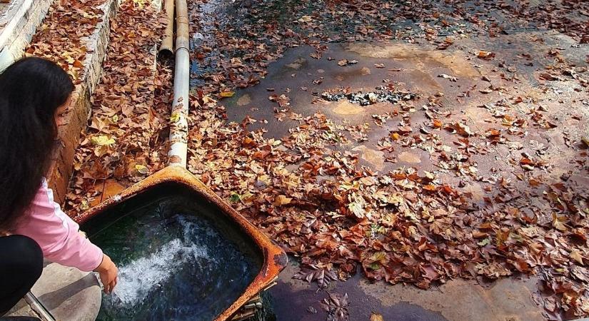 Brutális pazarlás: kihasználatlanul folyik a termálvíz a zuhanytálcából a lefolyóba