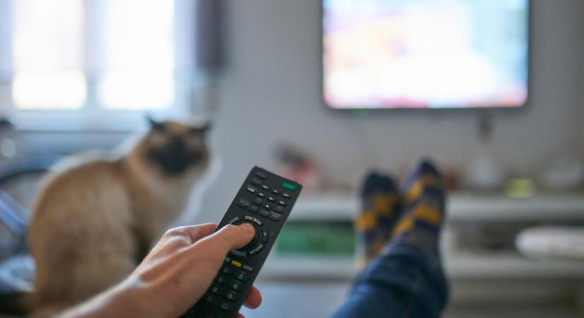 Győzike IQ-tesztjével tér vissza a tévébe a legendás vetélkedő: ekkor kerül műsorra, Kasza Tibi foja vezetni