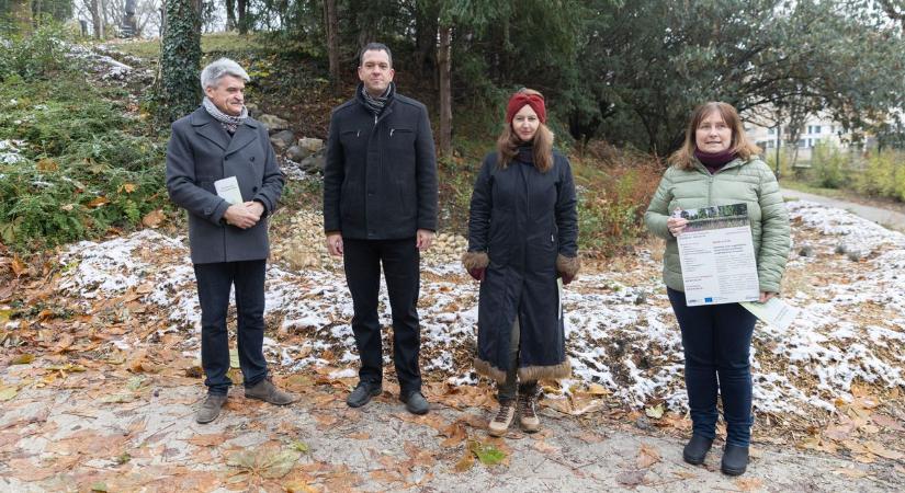 Esőkertet hoztak létre az Erzsébet-ligetben (galéria)