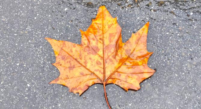 Több mint 67 milliméter csapadékkal született új rekord kedden