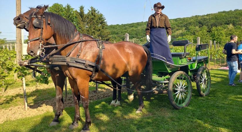 Vasi értékeink – Élő hagyományok, valós kincsek digitális lapokon