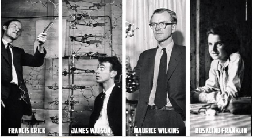 Egy nő, három férfi és a Nobel-díj