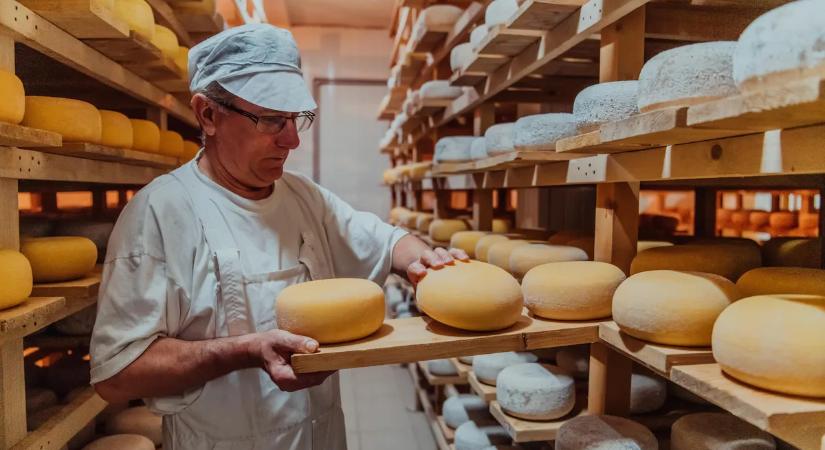 Ebben a 400 fős magyar faluban készítik a világ egyik legjobb sajtját