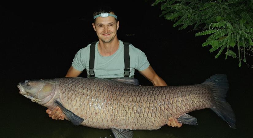 Ember méretű fekete amurt fogtak a Kákafoki-holtágban
