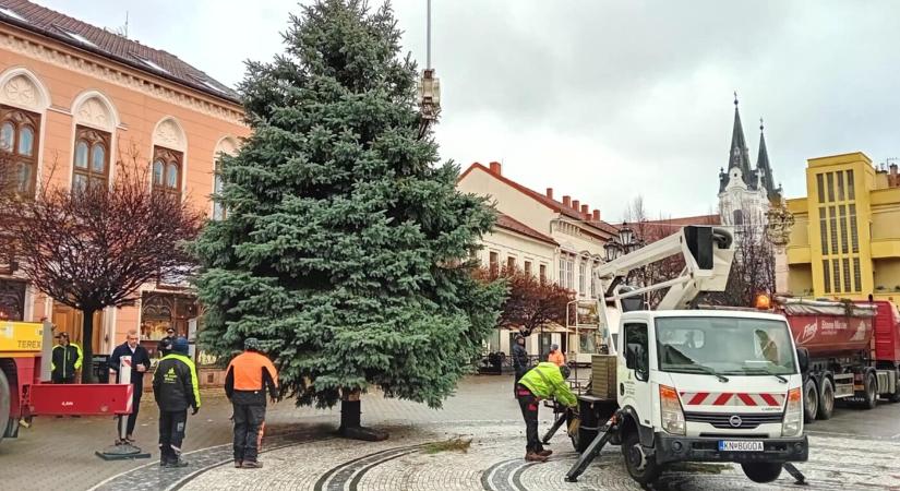 Áll Komárom karácsonyfája a Klapka téren (VIDEÓ)