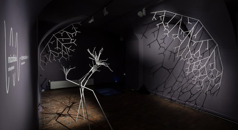 Amikor a diagnózis művészetté válik: autizmus, ADHD, neurodiverzitás a Budapest Galériában