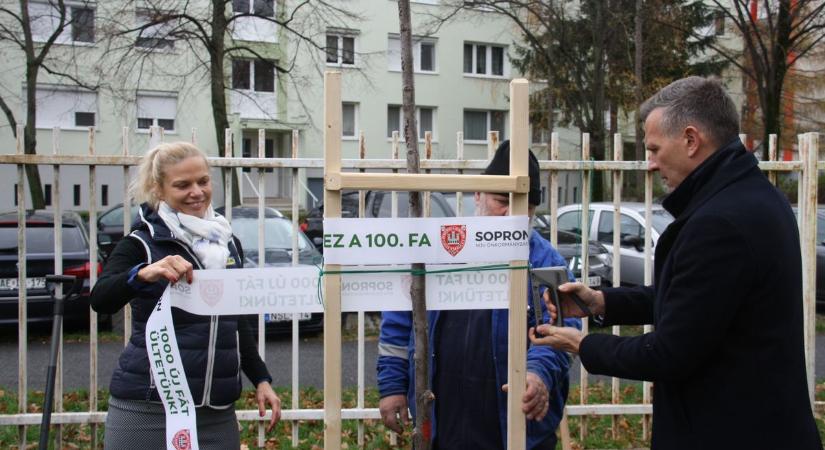 Elültették a 100. fát Sopronban, folytatódik a faültetési program - fotók