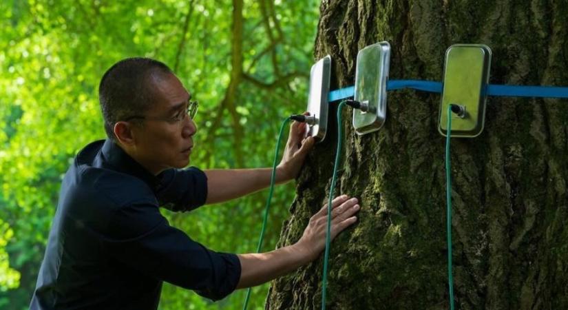 Enyedi Ildikó Csendes barát rendezése líraian szép előzetest kapott