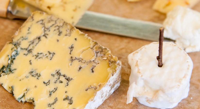 Egy 400 lelket számláló, kicsiny magyar faluban készítik a világ egyik legjobb sajtját