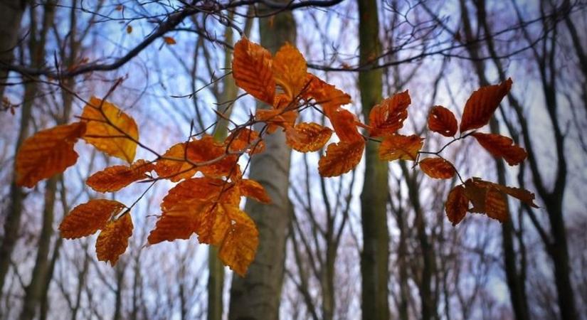 Időjárás-előrejelzés holnapra: így alakul a hőmérséklet
