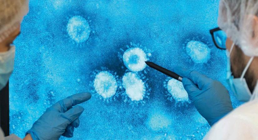 Ránéztek a vírusok és az immunrendszer kapcsolatára, amit találtak, az a vakcinafejlesztésben is jól jöhet