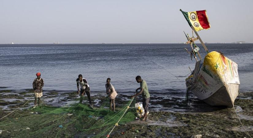 Akkor sem lehet tiszta a lelkiismeretünk, ha a szupermarketben "fenntartható" emblémás tengeri halat vásárolunk