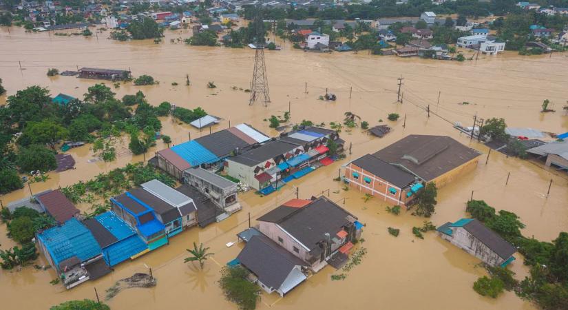 Óriáskígyó tartja rettegésben a thaiföldi lakosokat