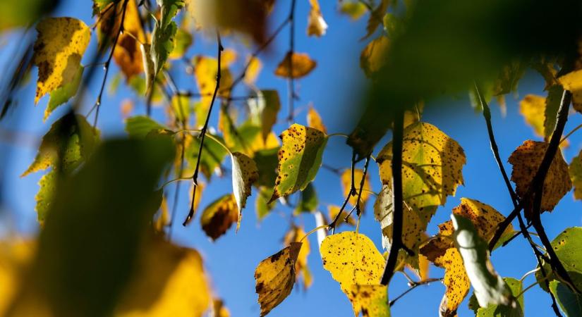 Szeged holnapi időjárása meglepetést tartogat – készülj fel!