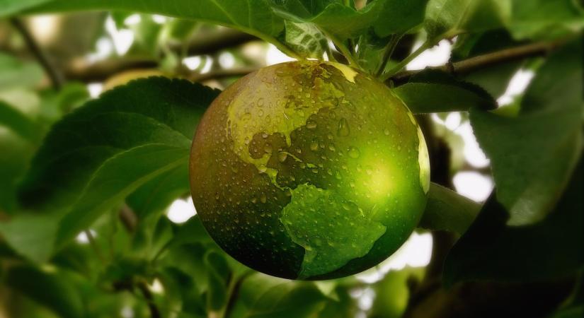 Fenntarthatóság: enyhülő uniós elvárások, átrendeződő vállalati fókusz