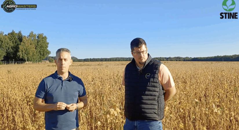 Idei termelői tapasztalatok az amerikai STINE cég szója fajtáival – STINE 07P32, STINE 11N20