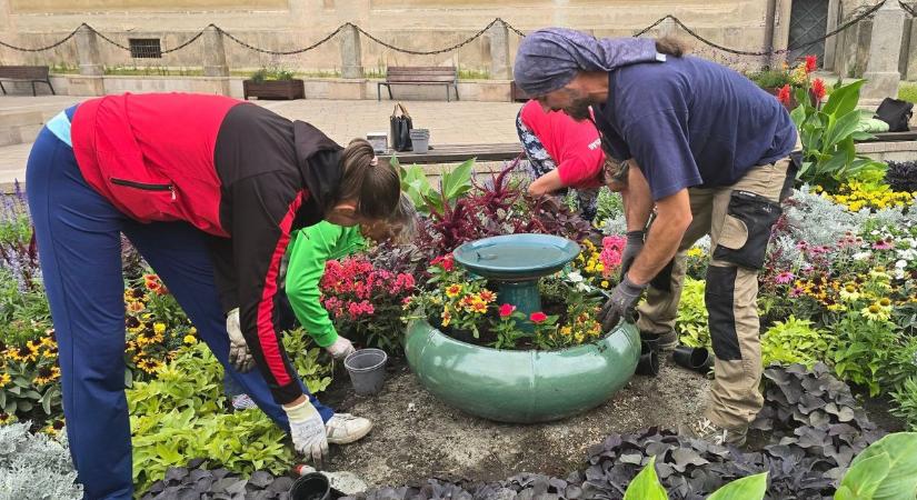 Tájépítészeti díjat kapott Pápa városa