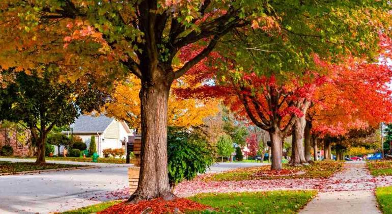 Hogyan válasszuk ki a tökéletes helyet az élethez – Tippek a legjobb lakókörnyezet megtalálásához