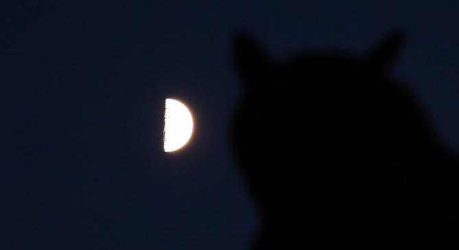 Hold–Szaturnusz konjunkció díszíti az eget szombat este