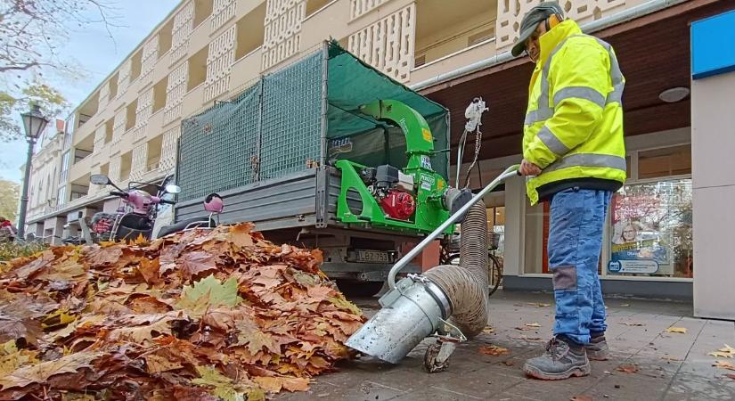 Ilyen a makói csodagép, ami csak úgy falja a leveleket, egyheti munkát végez el egy nap alatt