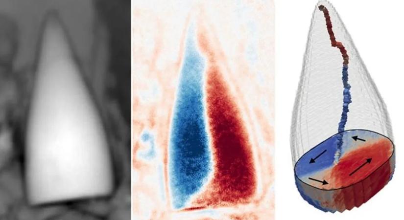 Mágneses helymeghatározó rendszert találtak ősi állati fosszíliákban