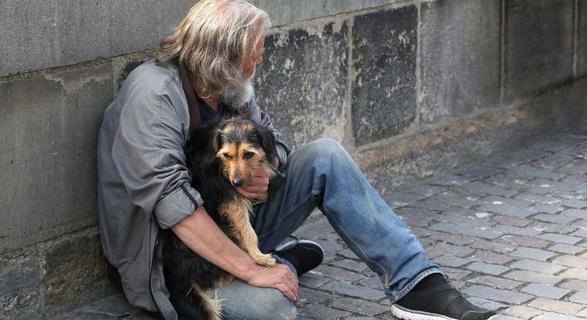 Szabálysértés lett az élő állatokkal koldulás: a civilek jelzéseire reagált a kormány